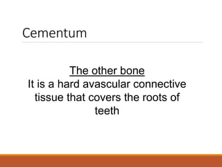 The other bone
It is a hard avascular connective
tissue that covers the roots of
teeth
Cementum
 