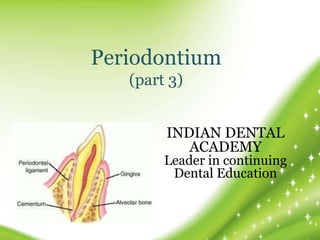 Periodontium
(part 3)
INDIAN DENTAL
ACADEMY
Leader in continuing
Dental Education
 