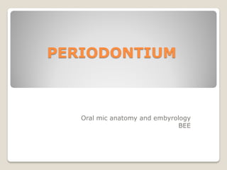 PERIODONTIUM



   Oral mic anatomy and embyrology
                               BEE
 
