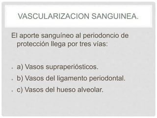 VASCULARIZACION SANGUINEA.
El aporte sanguíneo al periodoncio de
protección llega por tres vías:
● a) Vasos supraperiósticos.
● b) Vasos del ligamento periodontal.
● c) Vasos del hueso alveolar.
 
