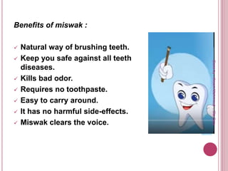 Benefits of miswak :
 Natural way of brushing teeth.
 Keep you safe against all teeth
diseases.
 Kills bad odor.
 Requires no toothpaste.
 Easy to carry around.
 It has no harmful side-effects.
 Miswak clears the voice.
Doneby:WeamMahmoud,OlaQatu
 