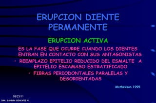 ERUPCION DIENTE
                            PERMANENTE
                            ERUPCION ACTIVA
            ES LA FASE QUE OCURRE CUANDO LOS DIENTES
            ENTRAN EN CONTACTO CON SUS ANTAGONISTAS
          • REEMPLAZO EPITELIO REDUCIDO DEL ESMALTE A
                  EPITELIO ESCAMASO ESTRATIFICADO
                • FIBRAS PERIODONTALES PARALELAS Y
                           DESORIENTADAS
                                              Mathewson 1995


         09/23/11
DRA. SANDRA HINCAPIE N.
 
