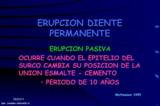 ERUPCION DIENTE
                            PERMANENTE
                     ERUPCION PASIVA
             OCURRE CUANDO EL EPITELIO DEL
             SURCO CAMBIA SU POSICION DE LA
             UNION ESMALTE - CEMENTO
                  • PERIODO DE 10 AÑOS
                                       Mathewson 1995
         09/23/11
DRA. SANDRA HINCAPIE N.
 