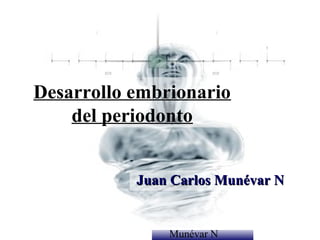 Desarrollo embrionario
    del periodonto


           Juan Carlos Munévar N

               Dr. Juan Carlos
               Munévar N
 