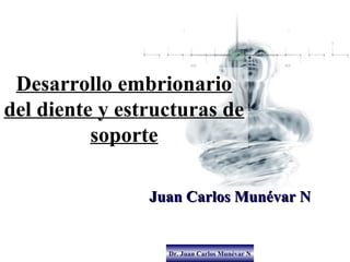 Desarrollo embrionario
del diente y estructuras de
          soporte

                Juan Carlos Munévar N


                  Dr. Juan Carlos Munévar N
 