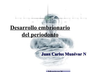 Desarrollo embrionario
    del periodonto


           Juan Carlos Munévar N


              Dr. Juan Carlos
 