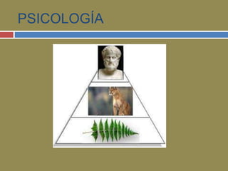PSICOLOGÍA 
 