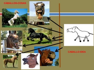CABALLO-IDEA 
CABALLOS-COSAS 
 