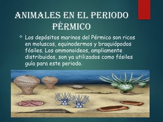 Permicox PERIODO PÉRMICO exposicion ( bilogia molecular )1.pptx
