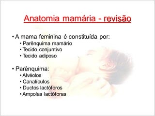 Amamentação 
Anatomia mamária - revisão 
• A mama feminina é constituída por: 
• Parênquima mamário 
• Tecido conjuntivo 
• Tecido adiposo 
• Parênquima: 
• Alvéolos 
• Canalículos 
• Ductos lactóforos 
• Ampolas lactóforas 
 