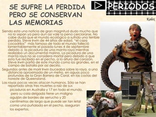 SE SUFRE LA PERDIDA PERO SE CONSERVAN LAS MEMORIAS Siendo esta una noticia de gran magnitud dudo mucho que no lo sepan ya pero aun asi vale la pena cerciorarse, No cabe duda que el mundo ecológico a sufrido una terrible perdida, Steve Irwin de 44 años de edad, “el caza cocodrilos”  más famoso de todo el mundo falleció lamentablemente el pasado lunes 4 de septiembre debido a  la picadura de una manta raya mientras realizaba un documental marino. La picadura de una manta raya no se considera mortal pero debido a que esta fue recibida en el pecho, a la altura del corazón, Steve Irwin partiò de este mundo como los grandes, en el campo de batalla por así decirlo. Segundos antes de morir Irwin buceaba sobre la raya, a una distancia aproximada de un metro, en aguas poco profundas de la Gran Barrera de Coral, en las costas del noreste de Queensland. Las rayas pocas veces atacan humanos. Sólo se han reportado otras tres muertes a raíz de sus  picaduras en Australia y 17 en todo el mundo, pero su cola delgada tiene un maligno  aguijón de bordes de serrucho y 20  centímetros de largo que puede ser tan letal  como una puñalada en el pecho, aseguran  los expertos. Kalex 