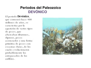 Periodos del Paleozoico   DEVÓNICO ,[object Object]