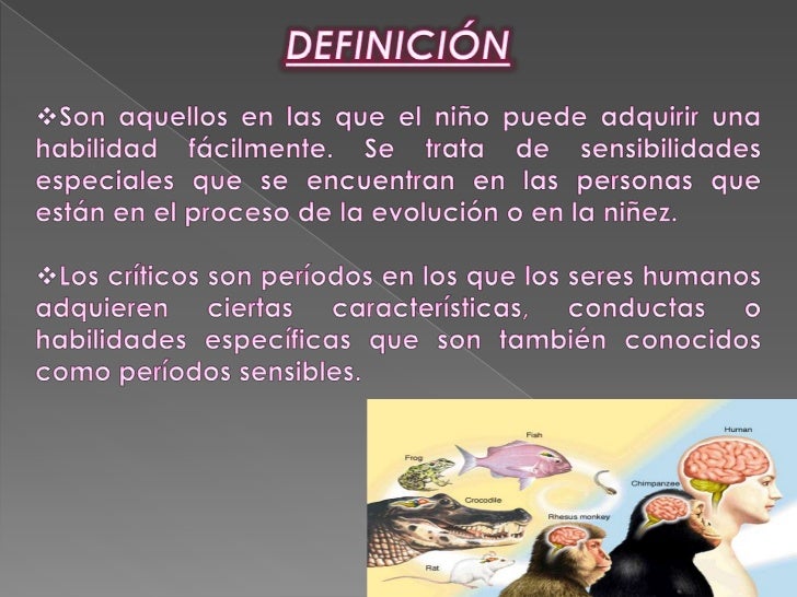 Periodos criticos