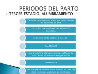    TERCER ESTADIO. ALUMBRAMIENTO
            Comienza inmediatamente el útero se reduce después
                         del nacimiento del bebé


                 Esto produce reducción del area de inserción
                                 placentaria.


                   La placenta tiende a salir de 2 maneras :



                                 Tipo SCHULTZ


             Sale la superficie fetal estuvo inserta en el fondo de
                 utero , forma un hematoma retroplacentario


                                 TIPO DUNCAN


            Sale la superficie materna estuvo inserta a los lados del
                  utero, >sangrado y retención de membranas.
 