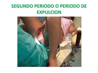 SEGUNDO PERIODO O PERIODO DE
         EXPULCION
 
