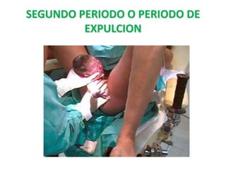 SEGUNDO PERIODO O PERIODO DE
         EXPULCION
 