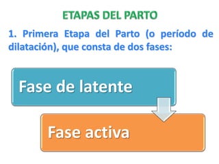 1. Primera Etapa del Parto (o período de
dilatación), que consta de dos fases:


  Fase de latente

       Fase activa
 