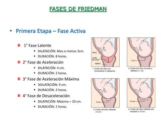 FASES DE FRIEDMAN



• Primera Etapa – Fase Activa

     1° Fase Latente
           DILATACIÓN: Mas o menos 3cm.
           DURACIÓN: 8 horas.
     2° Fase de Aceleración
           DILATACIÓN: 4 cm.
           DURACIÓN: 2 horas.
     3° Fase de Aceleración Máxima
           3DILATACIÓN: 9 cm.
           DURACIÓN: 2 horas.
     4° Fase de Desaceleración
           DILATACIÓN: Máxima = 10 cm.
           DURACIÓN: 2 horas.
 