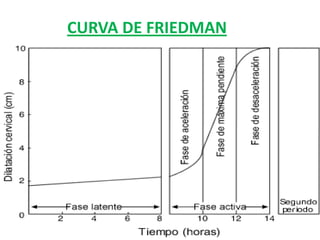 CURVA DE FRIEDMAN
 