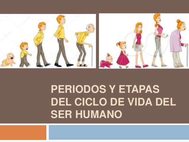 Periodos Y Etapas Del Ciclo De Vida Del Ser Humano Pd Vrogue Co Periodos Y Etapas Del Ciclo De Vida Del Ser Humano Pd Vrogue Co