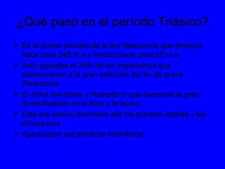 ¿Qué pasó en el período Triásico?
Es el primer período de la era Mesozoica que empezó
hace unos 248 m.a y finalizó hace unos 65 m.a.
Solo quedaba el 20% de los organismos que
sobrevivieron a la gran extinción del fin de la era
Paleozoica
El clima era cálido y Húmedo lo que favoreció la gran
diversificacion de la flora y la fauna
Esta era estuvo dominada por los grandes reptiles y los
dinosaurios
Aparecieron los primeros mamíferos.
