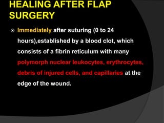 HEALING AFTER FLAP
SURGERY
 Immediately after suturing (0 to 24
hours),established by a blood clot, which
consists of a fibrin reticulum with many
polymorph nuclear leukocytes, erythrocytes,
debris of injured cells, and capillaries at the
edge of the wound.
 