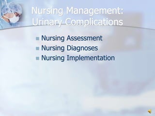 Nursing Management:Urinary ComplicationsNursing AssessmentNursing DiagnosesNursing Implementation