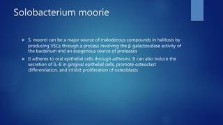 Solobacterium moorie
 S. moorei can be a major source of malodorous compounds in halitosis by
producing VSCs through a process involving the β-galactosidase activity of
the bacterium and an exogenous source of proteases
 It adheres to oral epithelial cells through adhesins. It can also induce the
secretion of IL-8 in gingival epithelial cells, promote osteoclast
differentiation, and inhibit proliferation of osteoblasts
 