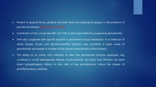  Present in gingival tissue, gingival cervicular fluid and subgingival plaque, in the presence of
periodontal disease (Cappuyns et al. 2005).
 Coinfection of two viruses like EBV and CMV is also responsible for progressive periodontitis.
 HHV also cooperate with specific bacteria in periodontal tissue breakdown. A co-infection of
active Herpes viruses and periodontopathic bacteria may constitute a major cause of
periodontitis and explain a number of the clinical characteristics of the disease.
 The ability of an active virus infection to alter the periodontal immune responses may
constitute a crucial pathogenetic feature of periodontitis. An active viral infection can exert
direct cytopathogenic effects on key cells of the periodontium; induce the release of
proinflammatory cytokines
 