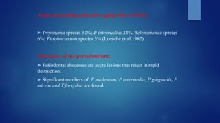 Acute necrotizing ulcerative gingivitis (ANUG):
 Treponema species 32%; B intermedius 24%; Selenomonas species
6%; Fusobacterium species 3% (Loesche et al.1982).
Abscesses of the periodontium:
 Periodontal abscesses are acyte lesions that result in rapid
destruction.
 Significant numbers of F nucleatum, P intermedia, P gingivalis, P
micros and T forsythia are found.
 