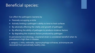 Beneficial species:
Can affect the pathogenic bacteria by
 Passively occupying a niche
 Actively limiting a pathogen’s ability to bind to host surfaces
 By adversely affecting the vitality and growth of pathogen
 By affecting the ability of pathogen to produce virulence factors
 By degrading the virulence factors produced by pathogen
In periodontal microbiology, a bacterial strain is considered beneficil when its
prevalence is high than in disease.
s. sanguis, s. mitis, veilonella, capnocytophaga ochracea, actinomyces are
recovered from periodntally healthy sites.
 