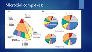 Microbial complexes:
 