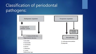 Classification of periodontal
pathogens:
 
