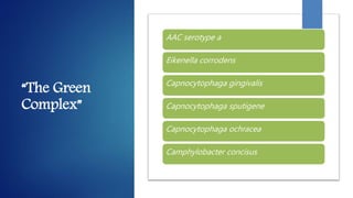 “The Green
Complex”
AAC serotype a
Eikenella corrodens
Capnocytophaga gingivalis
Capnocytophaga sputigene
Capnocytophaga ochracea
Camphylobacter concisus
 