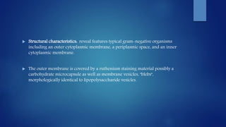  Structural characteristics: reveal features typical gram-negative organisms
including an outer cytoplasmic membrane, a periplasmic space, and an inner
cytoplasmic membrane.
 The outer membrane is covered by a ruthenium staining material possibly a
carbohydrate microcapsule as well as membrane vesicles, "blebs",
morphologically identical to lipopolysaccharide vesicles.
 