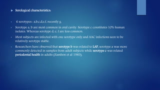 Serological characteristics:
• 6 serotypes- a,b,c,d,e,f, recently g.
• Serotype a, b are most common in oral cavity. Serotype c constitutes 10% human
isolates. Whereas serotype d, e, f are less common.
• Most subjects are infected with one serotype only and AAC infections seen to be
relatively serotype stable.
• Researchers have observed that serotype b was related to LAP, serotype a was more
commonly detected in samples from adult subjects while serotype c was related
periodontal health in adults (Zambon et al 1983).
 