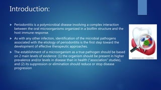 Introduction:
 Periodontitis is a polymicrobial disease involving a complex interaction
between the oral microorganisms organized in a biofilm structure and the
host immune response.
 As with any other infection, identification of the microbial pathogens
associated with the etiology of periodontitis is the first step toward the
development of effective therapeutic approaches.
 The establishment of a microorganism as a true pathogen should be based
on 2 main levels of evidence: (1) the organism should be present in higher
prevalence and/or levels in disease than in health (“association” studies),
and (2) its suppression or elimination should reduce or stop disease
progression
 