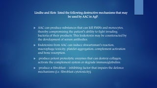 Lindhe and Slots listed the following destructive mechanisms that may
be used by AAC in AgP.
 AAC can produce substances that can kill PMNs and monocytes,
thereby compromising the patient’s ability to fight invading
bacteria of their products. This leukotoxin may be counteracted by
the development of serum antibodies.
 Endotoxins from AAC can induce shwartzman’s reaction,
macrophage toxicity, platelet aggregation, complement activation
and bone resorption.
 produce potent proteolytic enzymes that can destroy collagen,
activate the complement system or degrade immunoglobulins.
 produce a fibroblast – inhibiting factor that impairs the defence
mechanisms (i.e. fibroblast cytotoxicity).
 