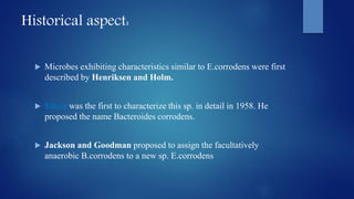 Historical aspect:
 Microbes exhibiting characteristics similar to E.corrodens were first
described by Henriksen and Holm.
 Eiken was the first to characterize this sp. in detail in 1958. He
proposed the name Bacteroides corrodens.
 Jackson and Goodman proposed to assign the facultatively
anaerobic B.corrodens to a new sp. E.corrodens
 