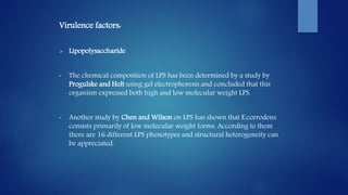 Virulence factors:
 Lipopolysaccharide
• The chemical composition of LPS has been determined by a study by
Progulske and Holt using gel electrophoresis and concluded that this
organism expressed both high and low molecular weight LPS.
• Another study by Chen and Wilson on LPS has shown that E.corrodens
consists primarily of low molecular weight forms. According to them
there are 16 different LPS phenotypes and structural heterogeneity can
be appreciated.
 