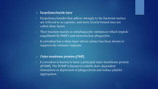  Exopolysaccharide layer
• Exopolysaccharides that adhere strongly to the bacterial surface
are referred to as capsules, and more loosely bound ones are
called slime layers.
• They function mainly as antiphagocytic substances which impede
engulfment by PMN’s and mononuclear phagocytes.
• E.corrodens has a slime layer whose extract has been shown to
suppress the immune response.
 Outer membrane proteins (OMP)
• E.corrodens is known to have a principal outer membrane protein
(POMP). The POMP is known to exhibit dose-dependent
stimulation or depression of phagocytosis and induce platelet
aggregation.
 
