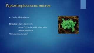 Peptostreptococcus micros
 Family: Clostridiaceae
Etymology: Pepto: digest/cook
streptococcus: bacterial genus name
micros: small/little
“The digesting bacteria”
 