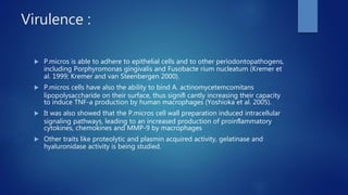 Virulence :
 P.micros is able to adhere to epithelial cells and to other periodontopathogens,
including Porphyromonas gingivalis and Fusobacte rium nucleatum (Kremer et
al. 1999; Kremer and van Steenbergen 2000).
 P.micros cells have also the ability to bind A. actinomycetemcomitans
lipopolysaccharide on their surface, thus signiﬁ cantly increasing their capacity
to induce TNF-a production by human macrophages (Yoshioka et al. 2005).
 It was also showed that the P.micros cell wall preparation induced intracellular
signaling pathways, leading to an increased production of proinﬂammatory
cytokines, chemokines and MMP-9 by macrophages
 Other traits like proteolytic and plasmin acquired activity, gelatinase and
hyaluronidase activity is being studied.
 