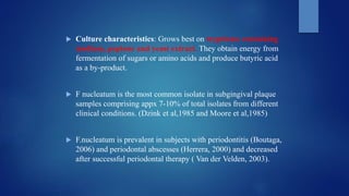  Culture characteristics: Grows best on trypticase containing
medium, peptone and yeast extract. They obtain energy from
fermentation of sugars or amino acids and produce butyric acid
as a by-product.
 F nucleatum is the most common isolate in subgingival plaque
samples comprising appx 7-10% of total isolates from different
clinical conditions. (Dzink et al,1985 and Moore et al,1985)
 F.nucleatum is prevalent in subjects with periodontitis (Boutaga,
2006) and periodontal abscesses (Herrera, 2000) and decreased
after successful periodontal therapy ( Van der Velden, 2003).
 