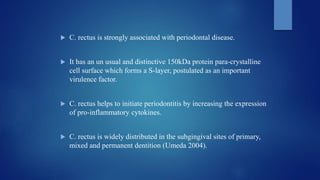  C. rectus is strongly associated with periodontal disease.
 It has an un usual and distinctive 150kDa protein para-crystalline
cell surface which forms a S-layer, postulated as an important
virulence factor.
 C. rectus helps to initiate periodontitis by increasing the expression
of pro-inflammatory cytokines.
 C. rectus is widely distributed in the subgingival sites of primary,
mixed and permanent dentition (Umeda 2004).
 