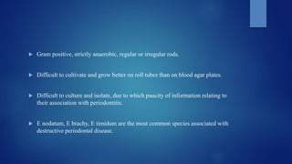  Gram positive, strictly anaerobic, regular or irregular rods.
 Difficult to cultivate and grow better on roll tubes than on blood agar plates.
 Difficult to culture and isolate, due to which paucity of information relating to
their association with periodontitis.
 E nodatum, E brachy, E timidum are the most common species associated with
destructive periodontal disease.
 