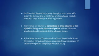  Healthy sites showed no or very few spirochetes, sites with
gingivitis showed low to moderate levels and deep pockets
harbored large number of these organisms.
 Spirochetes are known to be localized in areas adjacent to the
epithelial lining of the periodontal pocket. This facilitates in
attachment and invasion into the adjacent tissues.
 Spirochetes such as Treponema have been shown to be at the
forefront of periodontal lesions as demonstrated in sections of
undisturbed plaque samples (Noiri et al 2001).
 
