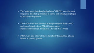  The “pathogen-related oral spirochetes” (PROS) were the most
frequently detected spirochetes in supra- and subgingival plaque
of periodontitis patients.
 The PROS were also detected in plaque samples from ANUG
and tissue biopsies from ANUG lesions using
immunohistochemical techniques (Riviere et al 1991a).
 PROS were also shown to have the ability to penetrate a tissue
barrier in in vitro systems.
 