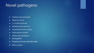 Novel pathogens:
 Dialister pneumosintes
 Filifactor alocis
 T. lecithinolyticum
 Solobacterium moorei
 Cryptobacterium curtum
 Mitsuokella dentalis
 Salmonella sputigena
 Synergistes
 Porphyromonas endodontalis
 Slacia exugia
 