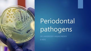 Periodontal
pathogens
DR LAKKIREDDY VASAVI REDDY
II MDS
 